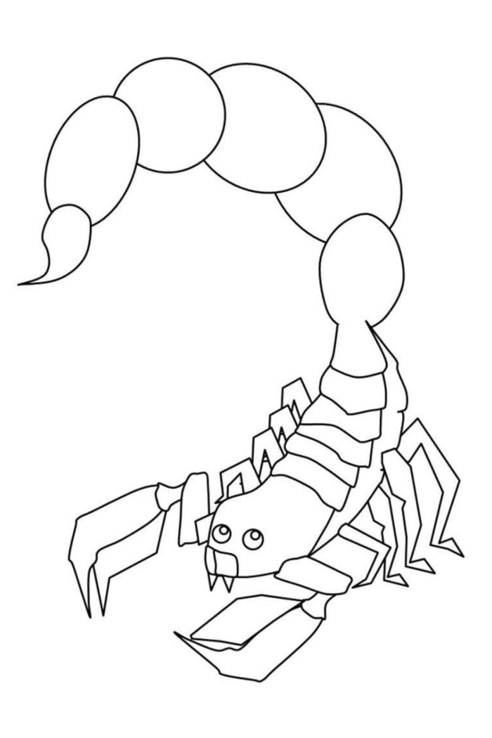 cool scorpion coloring pages