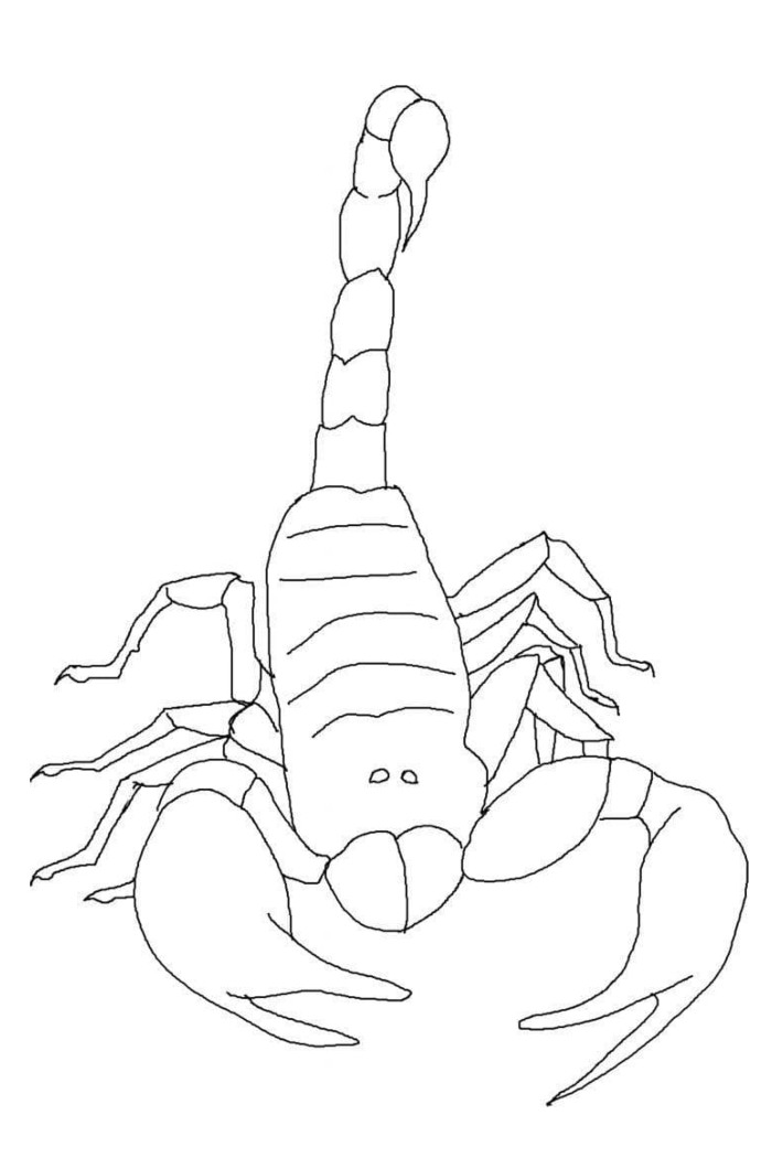 easy coloring pages scorpion