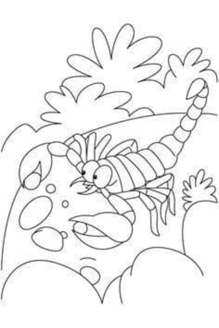 scorpion coloring pages for kids