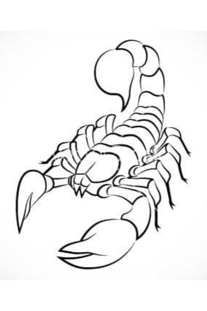 scorpion coloring