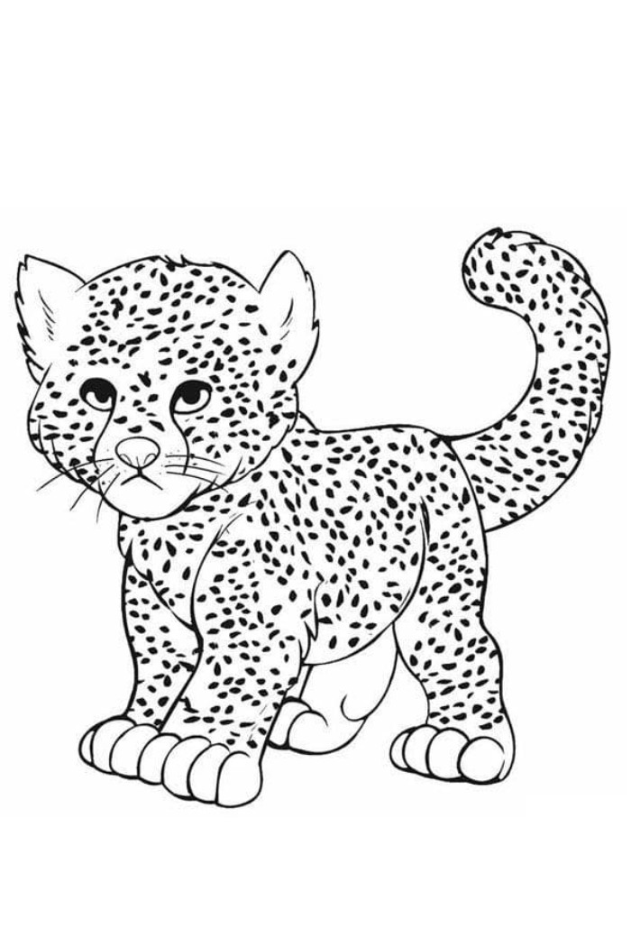 cheetah coloring pages to print