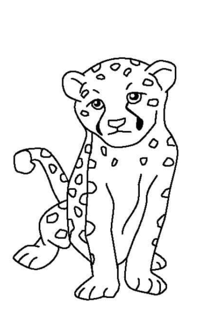 simple cheetah coloring pages